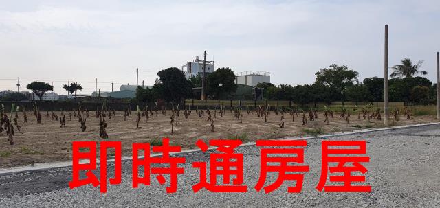 湖內農地-2