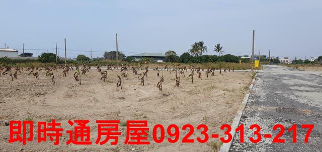 高雄大寮農地-0