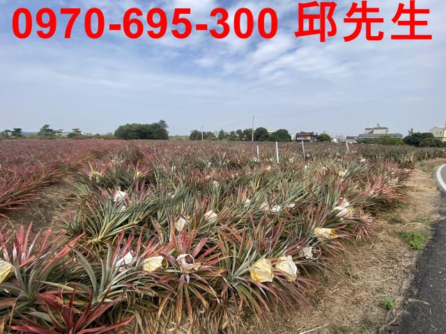 高雄農地-0