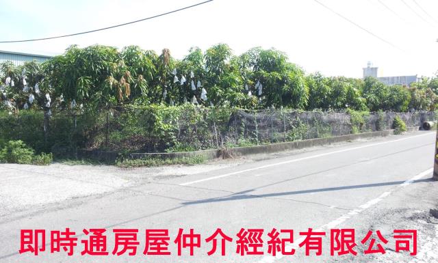 湖內農地-3