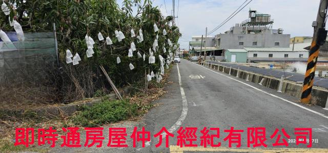 湖內農地-4